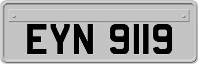 EYN9119