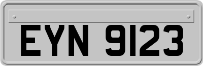 EYN9123