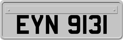 EYN9131