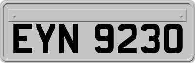 EYN9230
