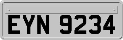 EYN9234