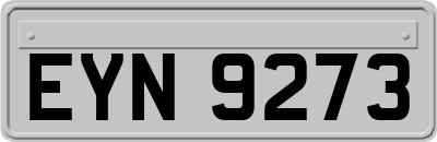 EYN9273