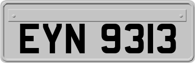 EYN9313