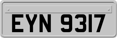 EYN9317