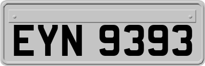 EYN9393