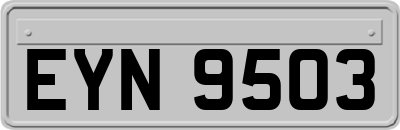 EYN9503