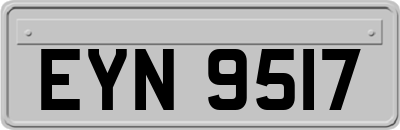 EYN9517