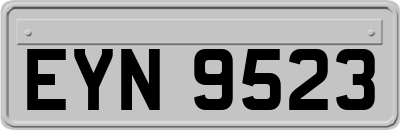 EYN9523