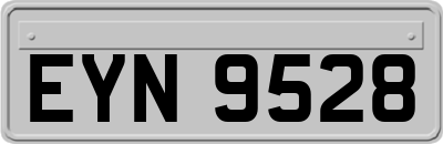 EYN9528