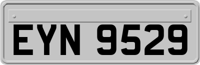 EYN9529