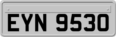 EYN9530