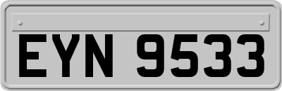 EYN9533
