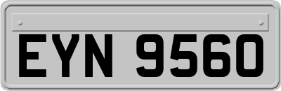 EYN9560