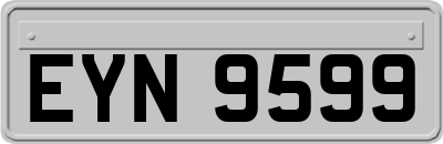 EYN9599