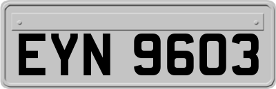 EYN9603