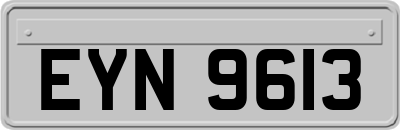 EYN9613