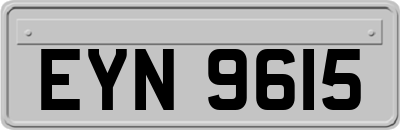 EYN9615