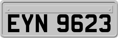 EYN9623