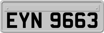 EYN9663