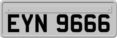 EYN9666