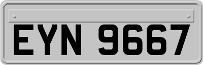 EYN9667