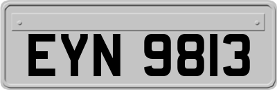 EYN9813