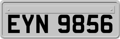 EYN9856