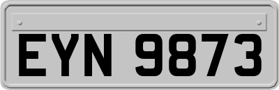 EYN9873