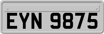 EYN9875
