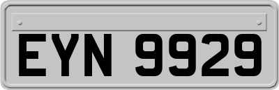 EYN9929