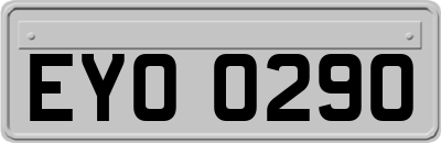 EYO0290