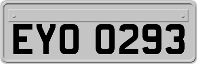 EYO0293
