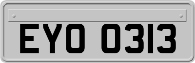 EYO0313