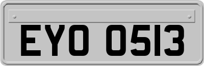 EYO0513