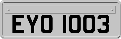 EYO1003