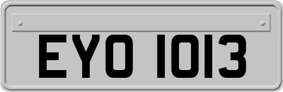 EYO1013