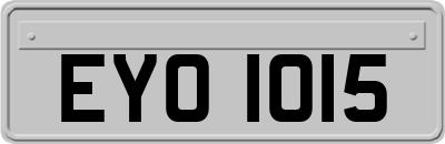 EYO1015