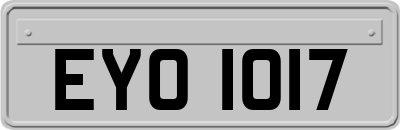 EYO1017
