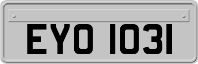 EYO1031