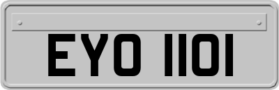 EYO1101