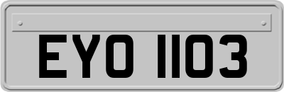 EYO1103