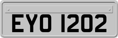 EYO1202