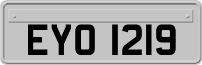 EYO1219