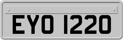EYO1220