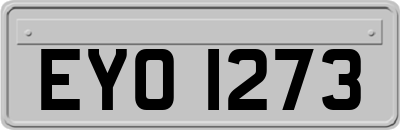 EYO1273