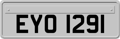 EYO1291