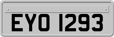 EYO1293