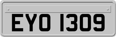 EYO1309