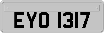 EYO1317
