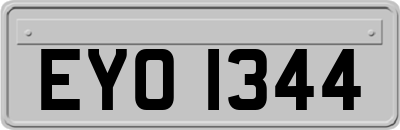 EYO1344